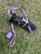 Brittany E. review photo