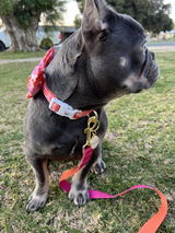 Brittany E. review photo