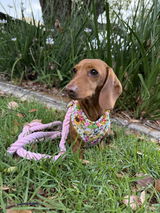 Rubi Star review photo
