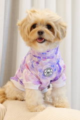 Pom the Abby review photo
