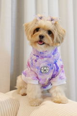 Pom the Abby review photo