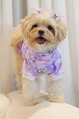 Pom the Abby review photo