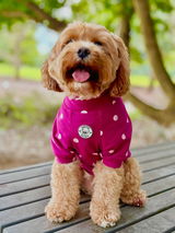 Shirley review photo