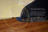 Bobby S. review photo