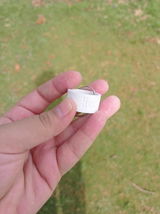 Shubhjot review photo