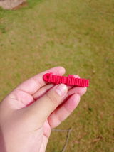 R. review photo