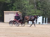 Lynn Jahl review photo
