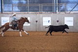 Tammy Smith & Youth Competitor Autumn Smith review photo