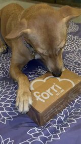 Arya B. review photo