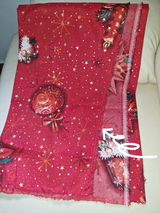 Darlene Ribeiro review photo