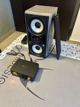 shiva s.p. review photo