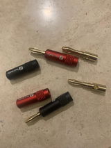 Cesar review photo