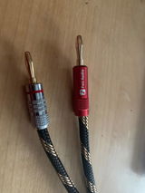 DocHouse review photo