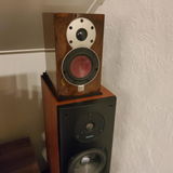 DGJ review photo