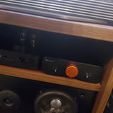 DGJ review photo