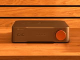Vincent review photo