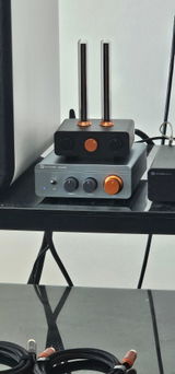 Gavin review photo