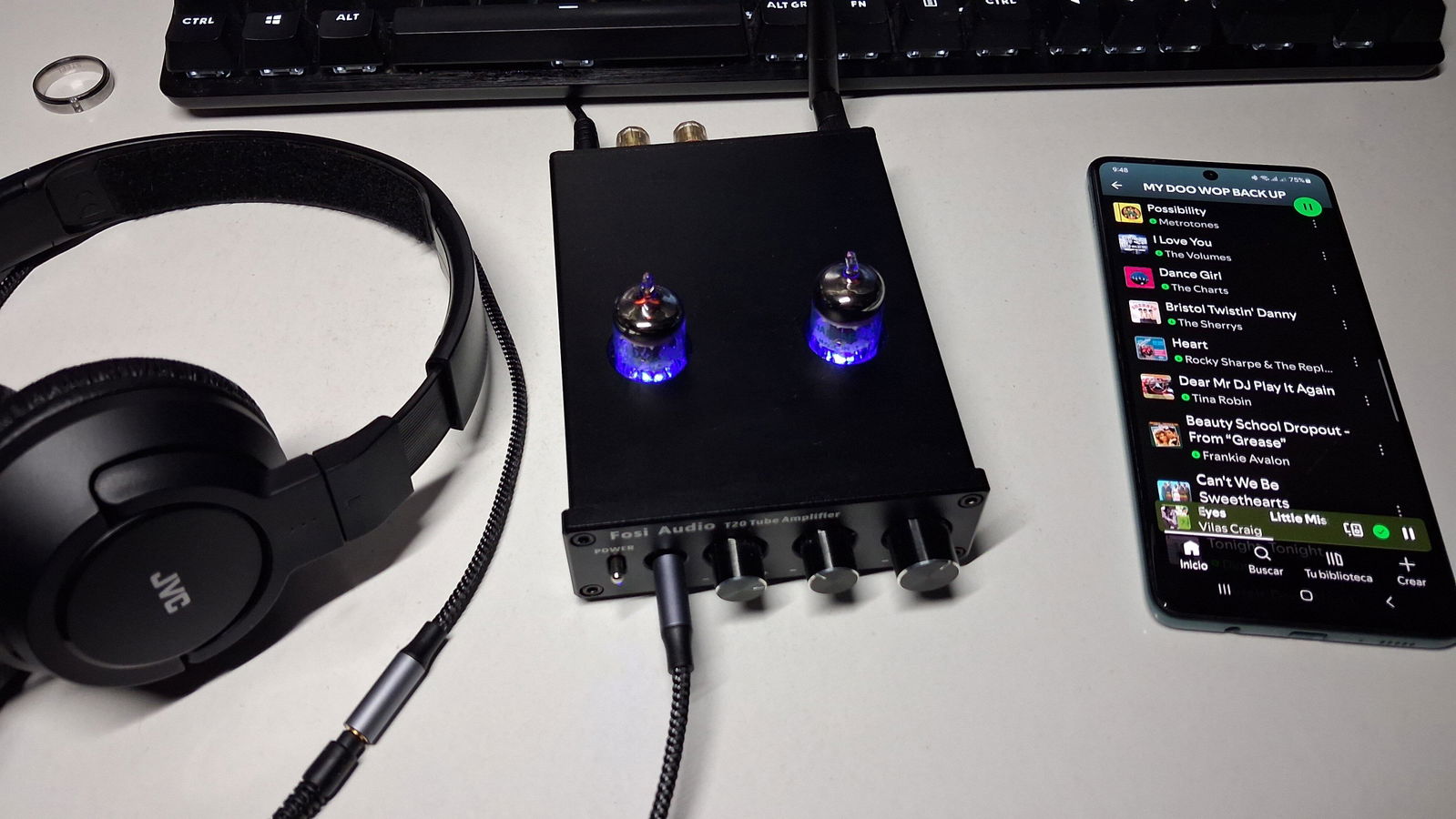 T20 Bluetooth Tube Amplifier Stereo 50W Power Headphone Amp – Fosi