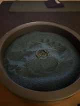 Rex review photo
