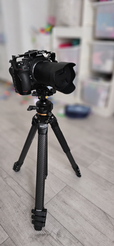 Coseru Bogdan review photo