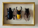 Christine review photo