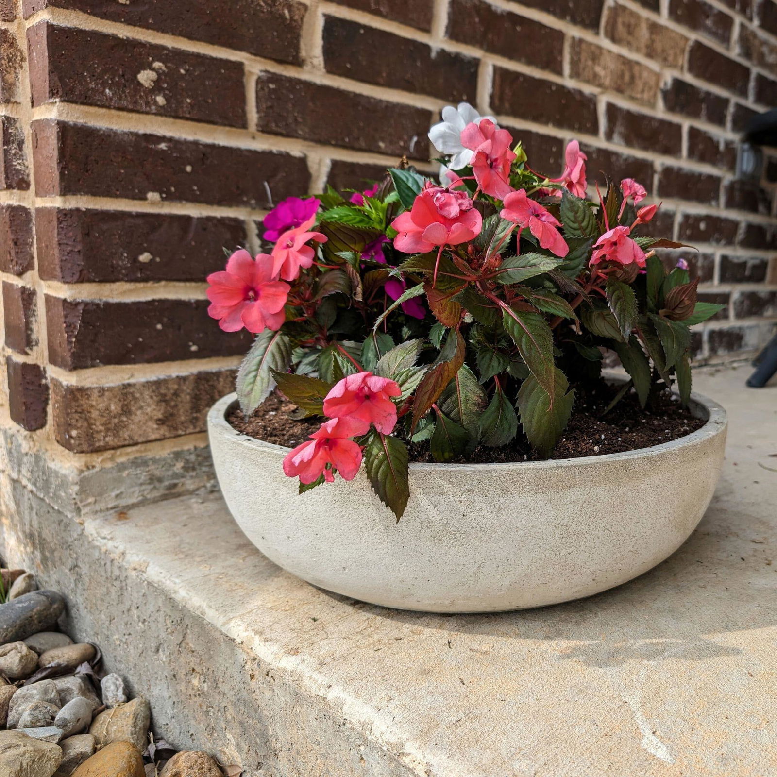 Terrace Bowl Large Concrete Planter - Campania