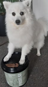Sandra review photo