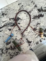 Eli review photo