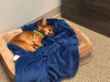 Jack’s human review photo