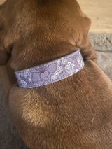 Vincenzo T. review photo