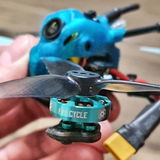 Piotr Bee review photo
