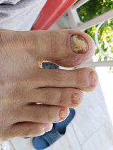VeLi review photo