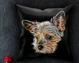 Debra Hintz review photo