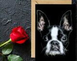 Kimberly Rosenbaum review photo