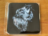 Robyn review photo
