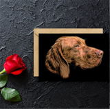Nadia review photo