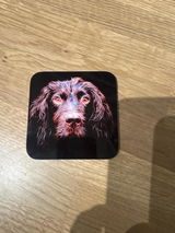 Mina review photo