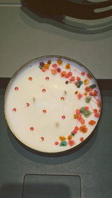 Lawansh review photo