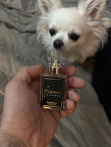 Zsolt review photo