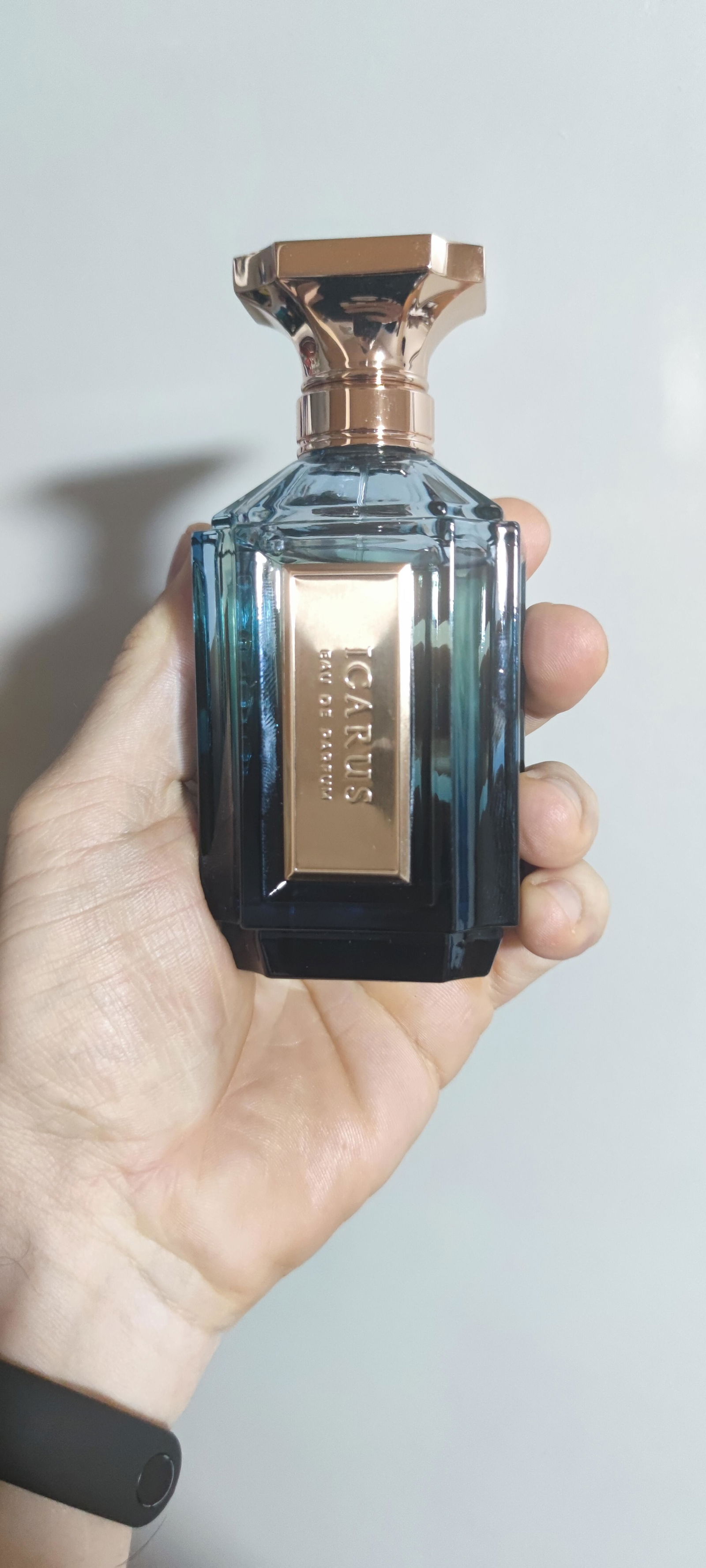 VELIXIR ICARUS オードパルファム 100ml 香水 香水(ユニセックス)
