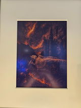 Scubalizard review photo