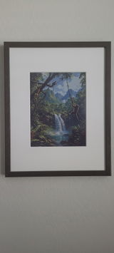 Ryan Z review photo