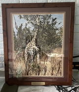 Cathy J. review photo