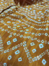 Rushabh Hajare review photo