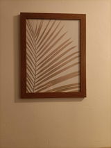 A Sneddon review photo
