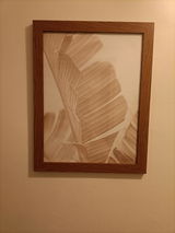 A Sneddon review photo