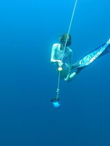 200 Sharks Carbon Freediving Blades