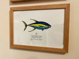 Yellowfin Tuna Scientific Print