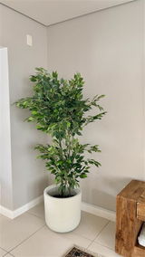 Maretha Bezuidenhout review photo