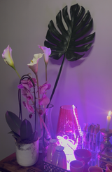 Tiana Swart review photo